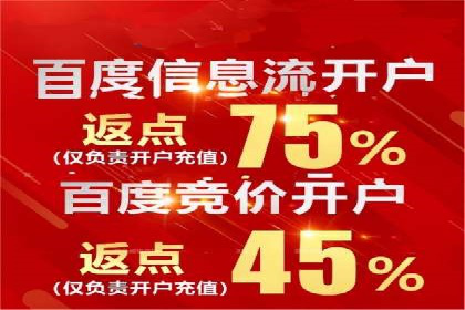 百度竞价包年推广策略深度解读与案例分析