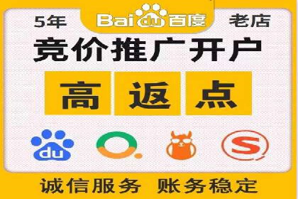 百度推广优化策略：成功案例解析